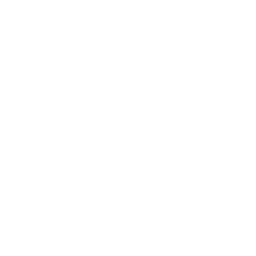 React Development